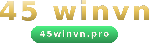 45 winvn logo